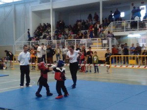 torneo kick mayo 2016w6